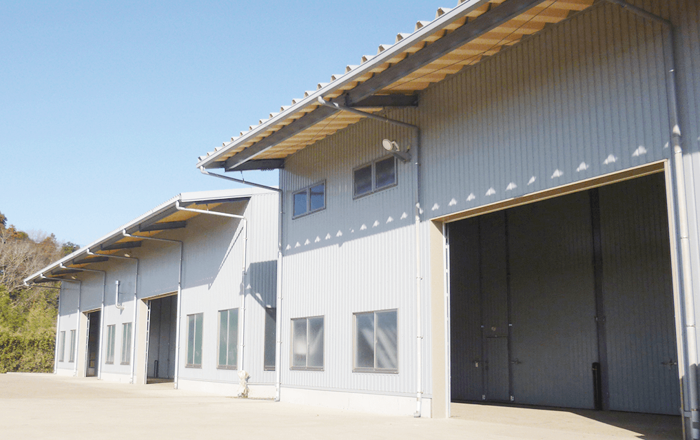 茨城で育った 甘くておいしいさつまいも