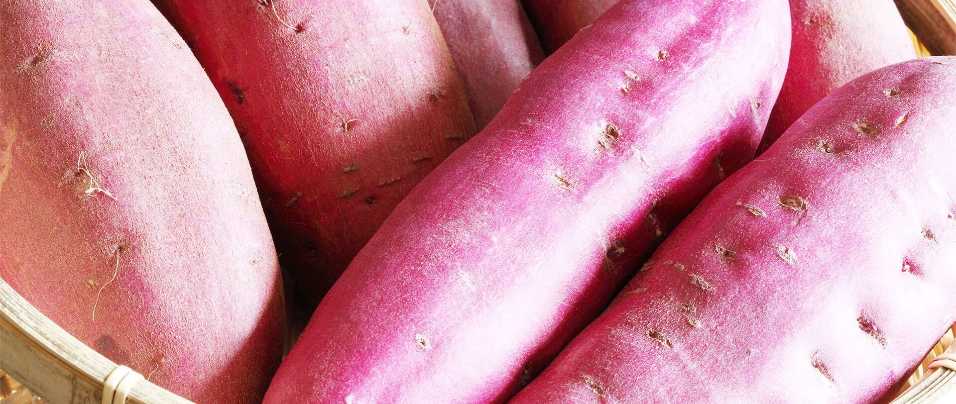 株式会社藤井商店