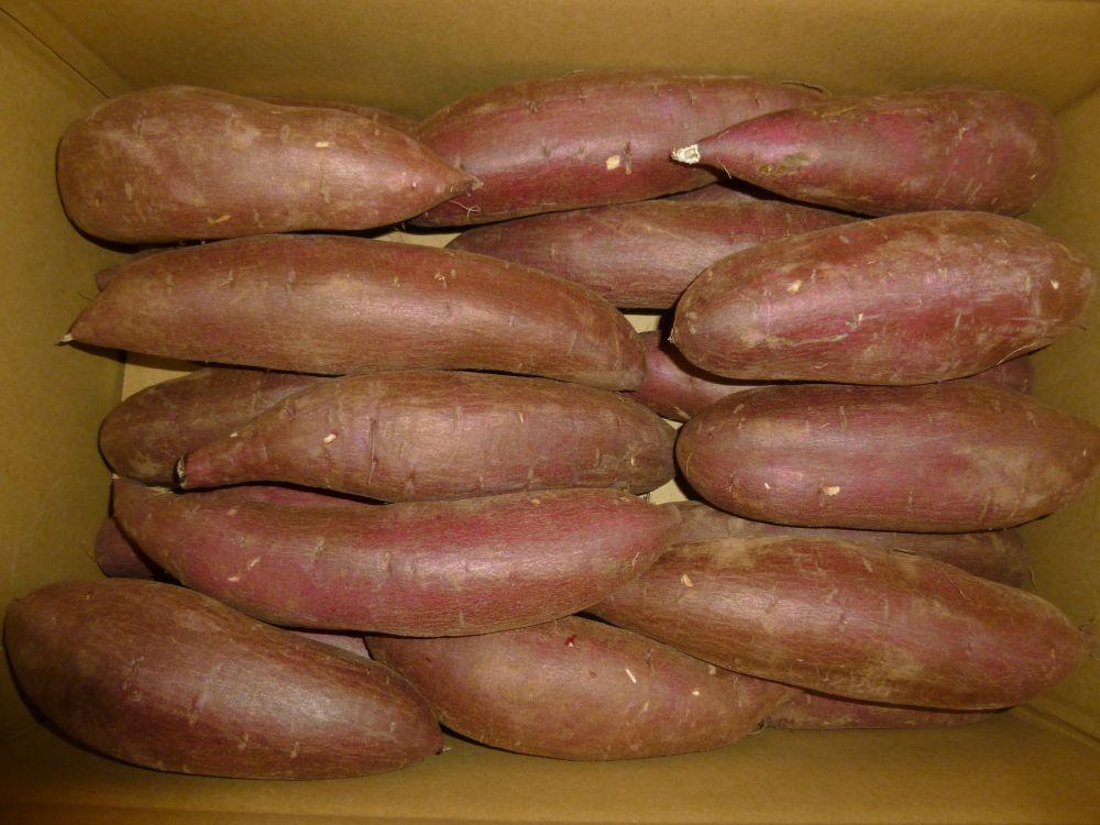 シルクスイート